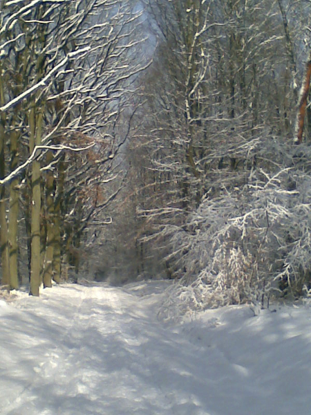 Winterlandschaft Taunus
